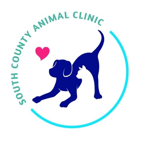 South County Animal Clinic